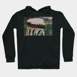 Train steaming over bridge Hoodie